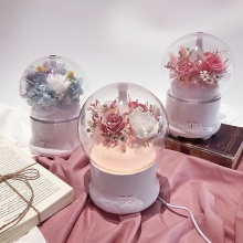 畢業禮物永生花加濕器