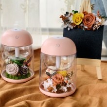 畢業禮物永生花加濕器