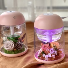 畢業禮物永生花加濕器